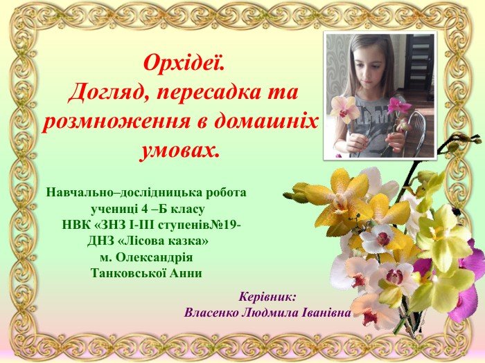Орхідеї. Презентація