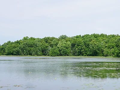 Озера, що знаходяться поруч з музеєм «Історії сільського ...