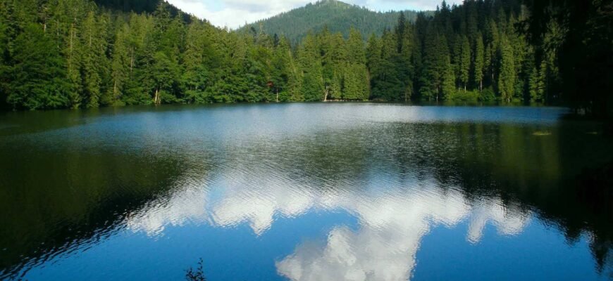Цікаві факти про озеро Синевир: легенди та реалії Карпатської перлини