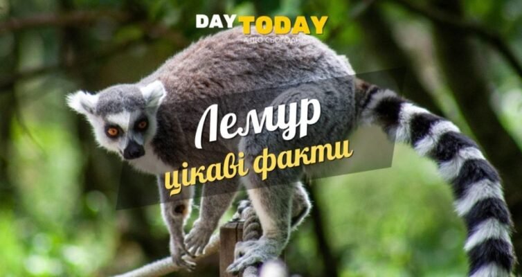 Цікаві факти про панду для дітей: дізнайтеся більше про цих милих ведмежат!