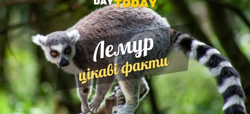 Цікаві факти про панду для дітей: дізнайтеся більше про цих милих ведмежат!