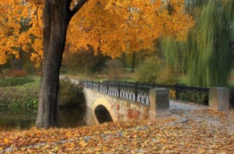 Цікаві факти про парк Олександрія: історія, природа, архітектура