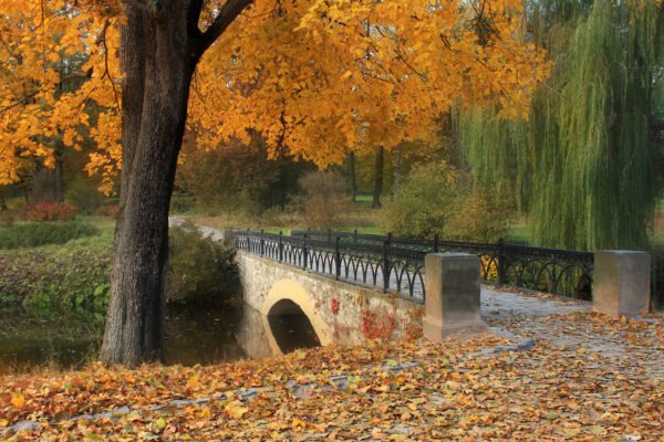 Цікаві факти про парк Олександрія: історія, природа, архітектура