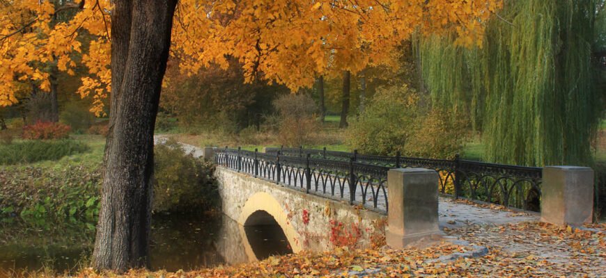 Цікаві факти про парк Олександрія: історія, природа, архітектура Цікаві факти про парк Олександрія: історія, природа, архітектура