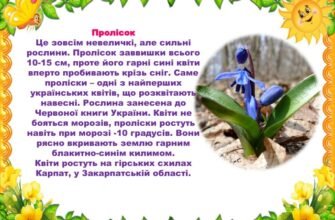 Цікаві факти про первоцвіти: все, що варто знати про весняні квіти