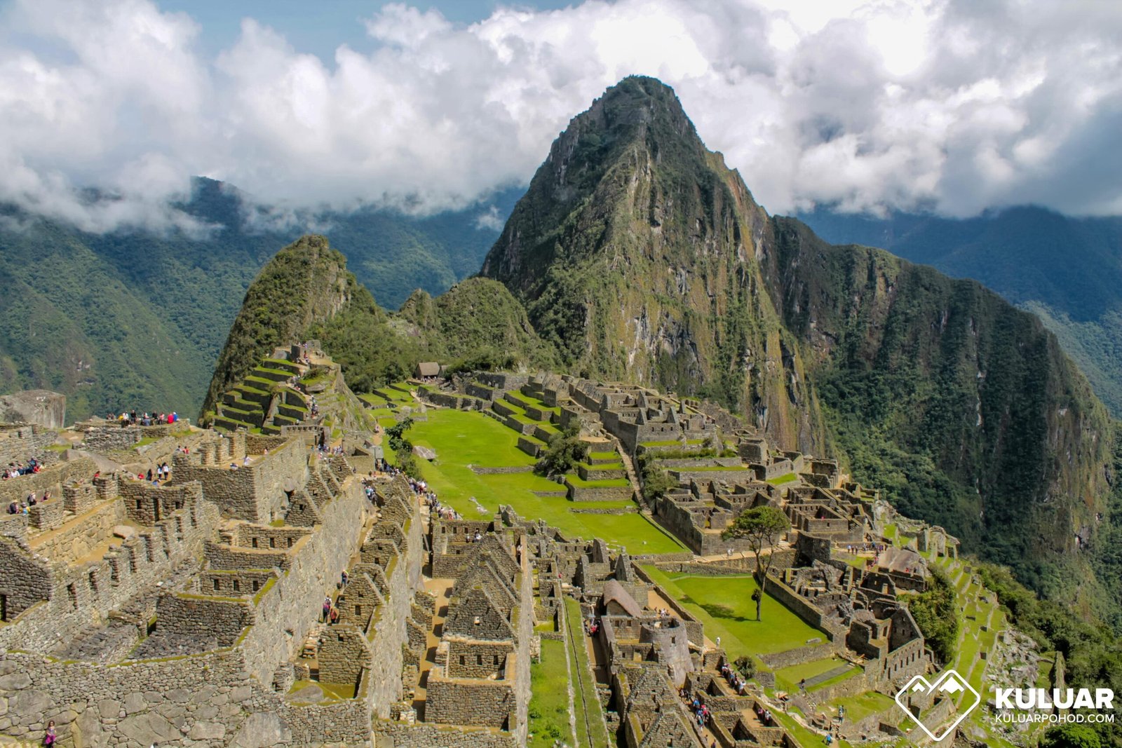 Найбільша річка Південної Америки: велич Амазонки - Vkurse