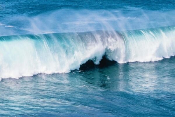 Цікаві факти про Південний океан: таємниці наймолодшого океану світу