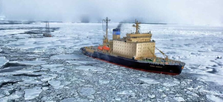 Цікаві факти про Північний Льодовитий океан: незвідані глибини та життя