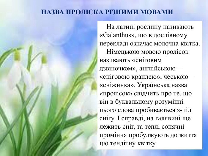 День проліска — відзначається 19 квітня