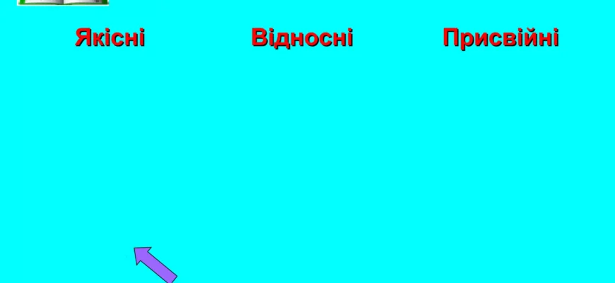 Цікаві факти про прикметник: ролі, типи та походження слів Цікаві факти про прикметник: ролі, типи та походження слів