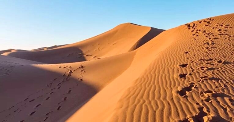 Цікаві факти про пустелю: розкриття таємниць сухих земель світу