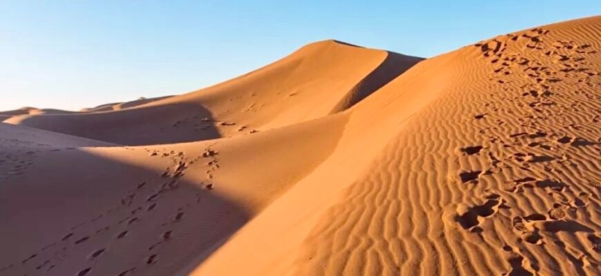 Цікаві факти про пустелю: розкриття таємниць сухих земель світу