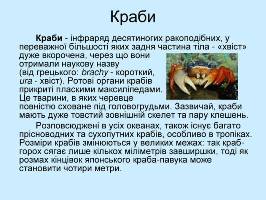 Цікаві факти про ракоподібних: незвичайний світ підводних мешканців