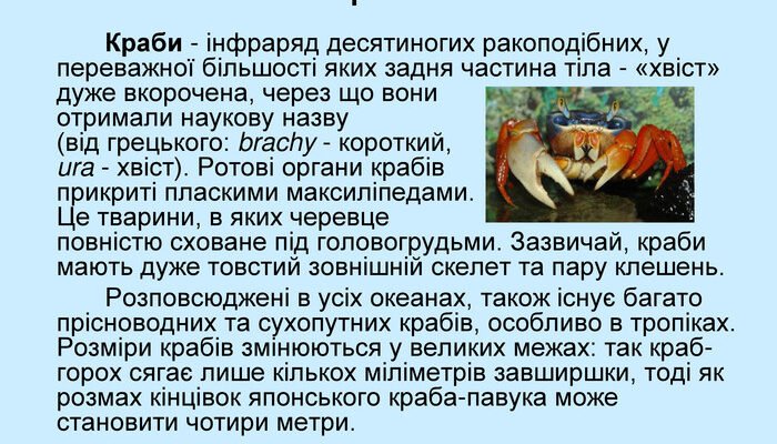 Цікаві факти про ракоподібних: незвичайний світ підводних мешканців