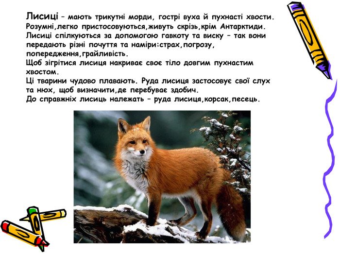 🐌🌿 Цікаві факти про равликів Равлики – одні з найдавніших ...