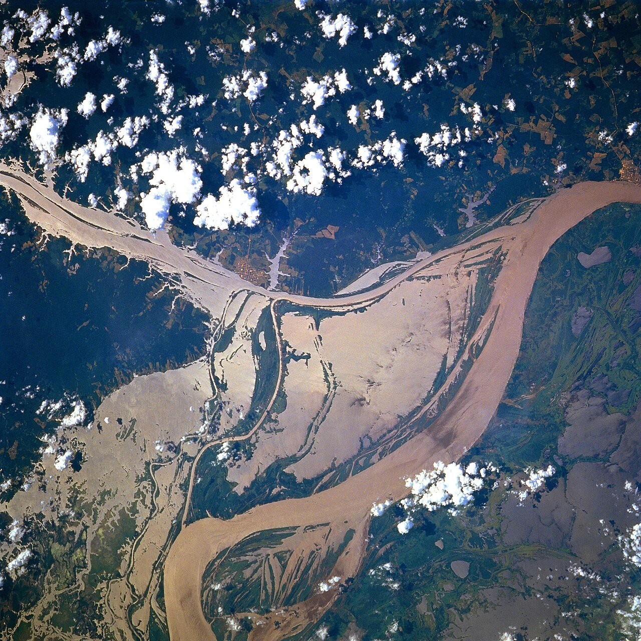 Знай більше цікавих фактів про дивовижну ріку Амазонку