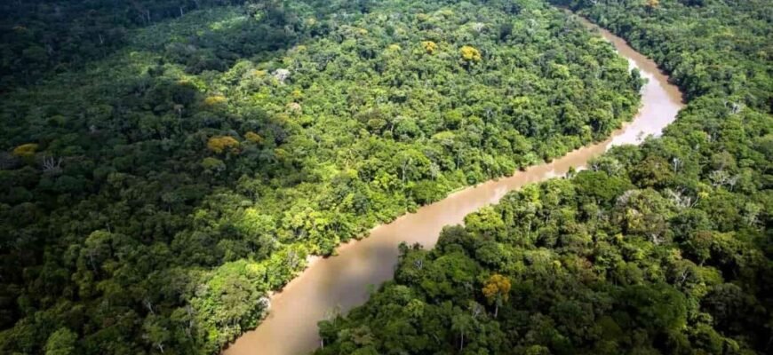 Цікаві факти про річку Амазонка: унікальна природа та історія