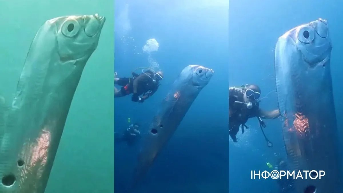 Українська мова та читання, 12.10.2022 – Променята