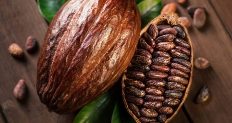 Цікаві факти про шоколад: від бобів до ваших улюблених ласощів