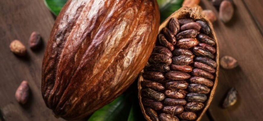 Цікаві факти про шоколад: від бобів до ваших улюблених ласощів