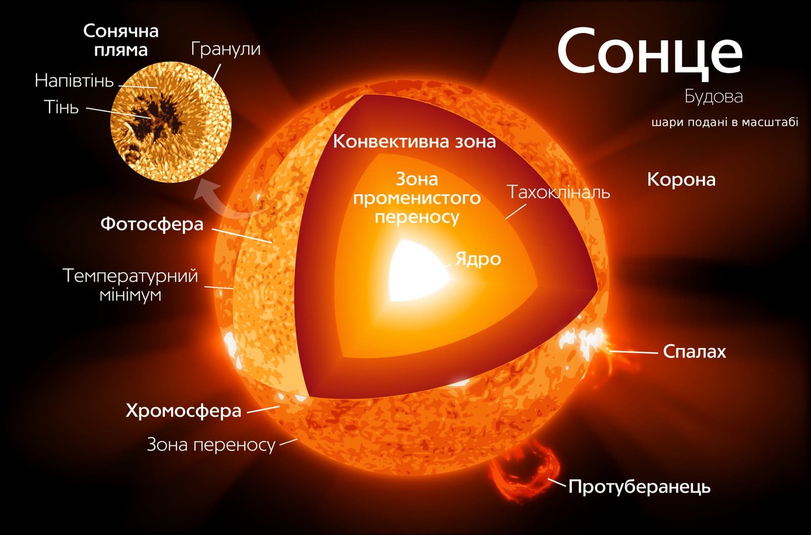 Цікаві факти про Сонце для дітей. Все про Сонце в дитячому форматі
