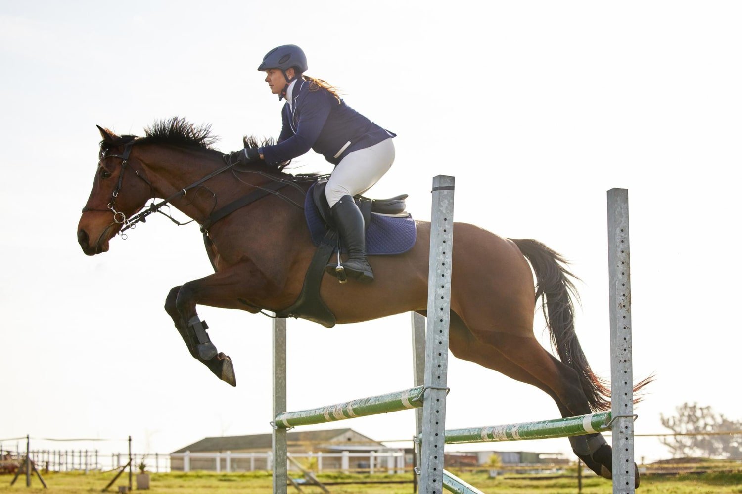 Героїчний рік: спортивні досягнення України у 2023-му