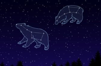 Цікаві факти про сузір’я Велика Ведмедиця: історія та значення