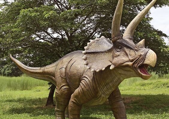 Цікаві факти про трицератопса: історія, анатомія, поведінка