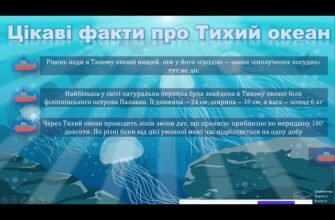 Цікаві факти про Тихий океан: несподівані відкриття та таємниці океану