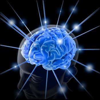 Цікаві факти про унікальність та важливість відбитків пальців людини