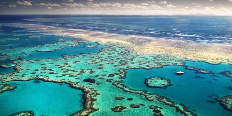 Цікаві факти про Великий Бар’єрний риф: вражаючі відкриття та таємниці