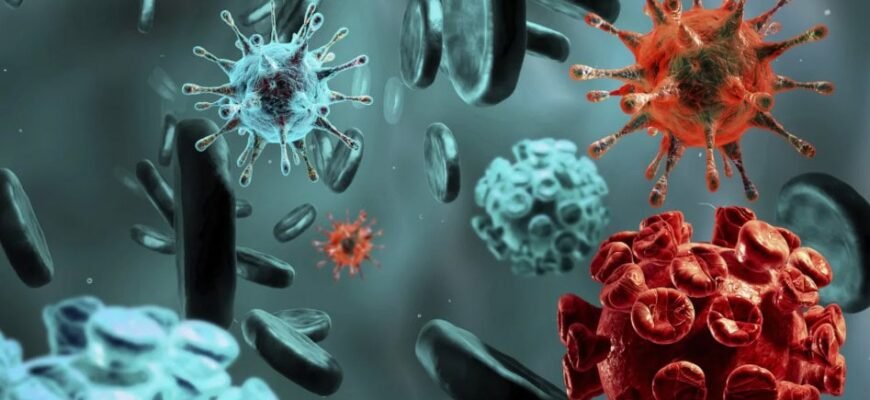 Цікаві факти про віруси: розкрийте невидимий світ інфекцій Цікаві факти про віруси: розкрийте невидимий світ інфекцій