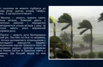Цікаві факти про вітер: що робить його загадковим явищем природи