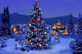 Цікаві факти про ялинку: історія та несподівані відкриття