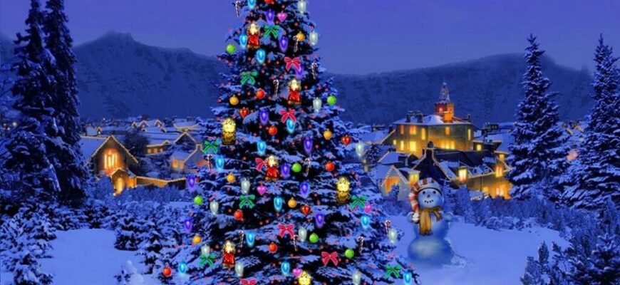 Цікаві факти про ялинку: історія та несподівані відкриття