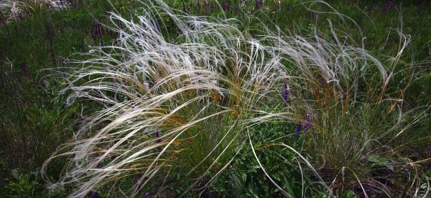 Цікаві факти про Зелену книгу України: відкрийте природні скарби країни