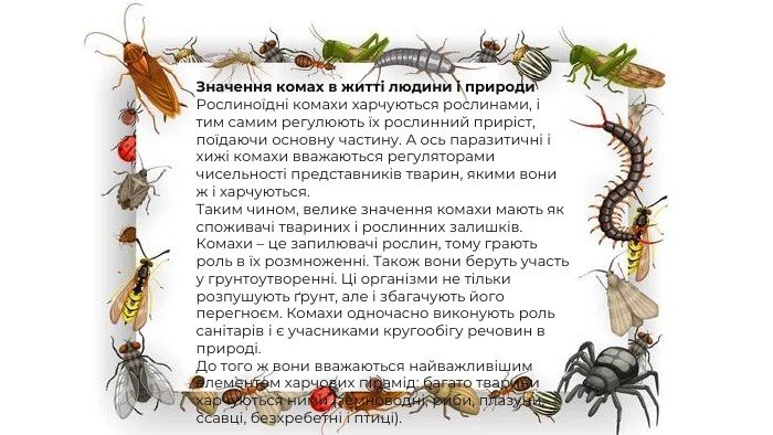 Шкідливі комахи України | Опис і фото шкідників рослин