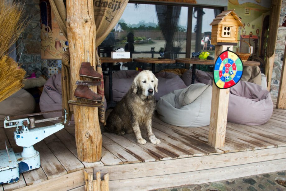 Туристичний Хуст: що відвідати, де відпочити, або як провести ...