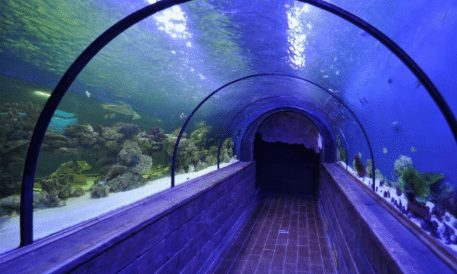 Цікаві місця Києва для дітей: захопливі локації та активності