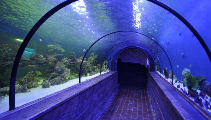 Цікаві місця Києва для дітей: захопливі локації та активності