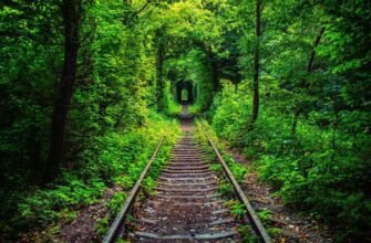 Цікаві місця у Рівному: найкращі туристичні локації міста