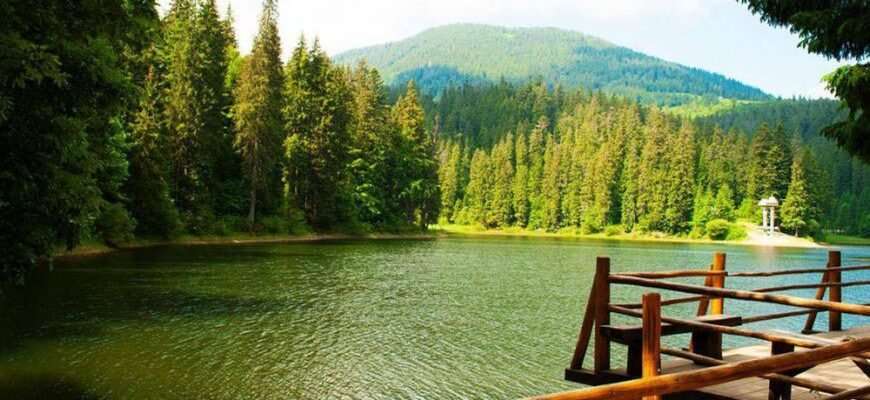 Цікаві місця Ужгорода: ТОП локацій для відвідування неподалік міста Цікаві місця Ужгорода: ТОП локацій для відвідування неподалік міста