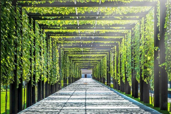 Цікаві місця в Одесі: топ локацій для незабутніх вражень та фото