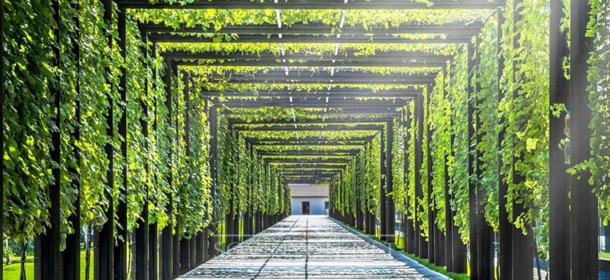 Цікаві місця в Одесі: топ локацій для незабутніх вражень та фото