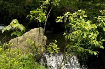 Цікаві місця Закарпаття: що варто відвідати і не пропустити?