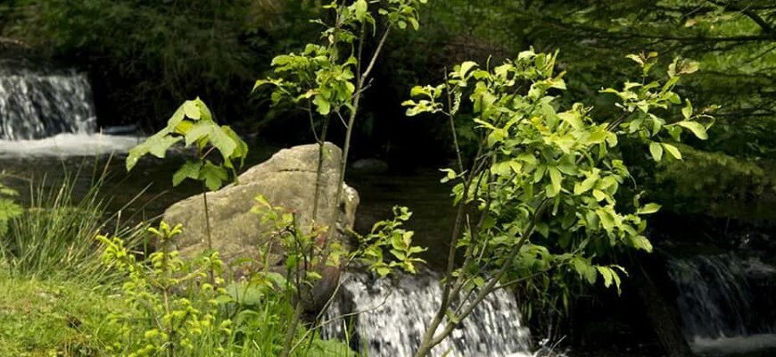 Цікаві місця Закарпаття: що варто відвідати і не пропустити? Цікаві місця Закарпаття: що варто відвідати і не пропустити?