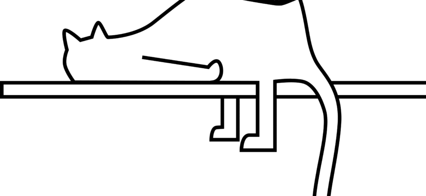 Цікаві питання для знайомства: розкрити секрети ефективного спілкування