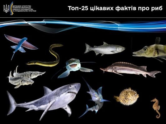 Цікаві риби: дивовижні факти та несподівані відкриття під водою