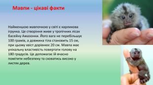 Які тварини видають жахливі звуки - відео