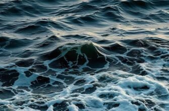 Цікаві та невідомі факти про Червоне море, які вас здивують